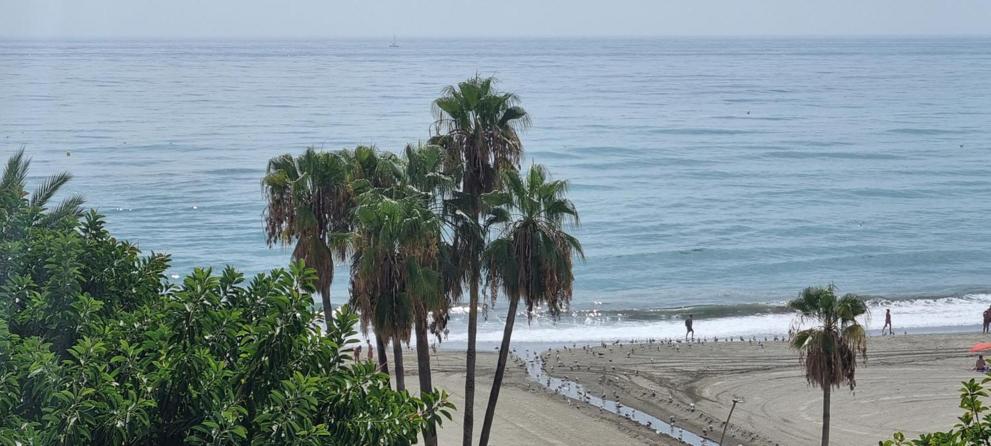 Apartamentos Real 81 Estepona Luaran gambar